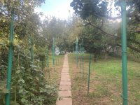 Eladó családi ház, Kerepesen 76.9 M Ft, 2 szobás