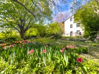 Eladó telek, II. kerületben, Gyulai Pál utcában 205 M Ft