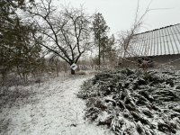 Eladó családi ház, Kecskeméten 17.99 M Ft, 1 szobás