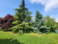 Eladó családi ház, Úrhidán 109 M Ft, 5 szobás