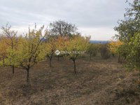 Eladó telek, Tordason 15 M Ft / költözzbe.hu