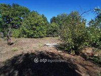 Eladó nyaraló, Cegléden 30 M Ft, 1 szobás / költözzbe.hu