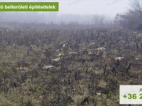Eladó telek, Dabason 16 M Ft / költözzbe.hu