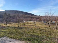 Eladó telek, Tatán 26 M Ft / költözzbe.hu