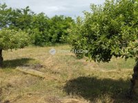 Eladó mezogazdasagi ingatlan, Hódmezővásárhelyen 3.5 M Ft