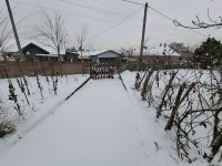 Eladó családi ház, Erdőkertesen 79.9 M Ft, 2 szobás