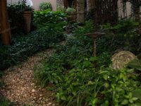 Kiadó családi ház, albérlet, Kecskeméten 800 E Ft / hó