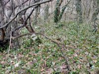 Eladó telek, Egerben 6.5 M Ft / költözzbe.hu