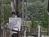 Eladó ipari ingatlan, Salomváron 46.5 M Ft / költözzbe.hu