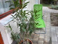 Eladó téglalakás, II. kerületben 150 M Ft, 4 szobás