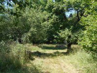 Eladó családi ház, Hegyhátszentjakabon 28 M Ft, 2 szobás