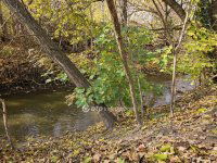 Eladó családi ház, Sóskúton 100 M Ft, 4 szobás