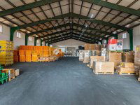 Kiadó ipari ingatlan