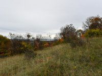 Eladó telek, Pécselyen 24.99 M Ft / költözzbe.hu