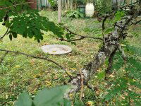 Eladó telek, Pécsett 9.9 M Ft / költözzbe.hu