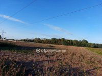 Eladó mezogazdasagi ingatlan, Ópusztaszeren 2.9 M Ft