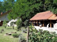 Eladó mezogazdasagi ingatlan, Vasadon 149.99 M Ft, 3 szobás