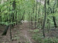 Eladó telek, Alcsútdobozon 25 M Ft / költözzbe.hu