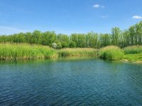 Eladó telek, Répcelakon 37.125 M Ft / költözzbe.hu