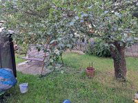 Eladó családi ház, Érden 69.9 M Ft, 3 szobás