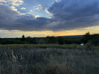 Eladó mezogazdasagi ingatlan