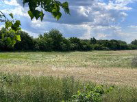 Eladó ipari ingatlan