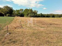 Eladó telek, Csajágon 6.99 M Ft / költözzbe.hu