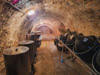 Eladó mezogazdasagi ingatlan, Monoron 9.9 M Ft