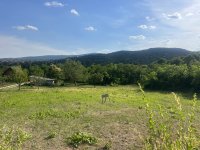 Eladó telek, Pomázon 29.2 M Ft / költözzbe.hu