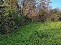 Eladó telek, Zalaszántón 2.99 M Ft / költözzbe.hu