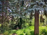 Eladó téglalakás, Solymáron 120 M Ft, 3 szobás