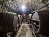 Eladó ipari ingatlan, Badacsonytördemicen 900 M Ft