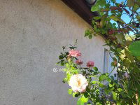 Eladó családi ház, Jánoshidán 9.5 M Ft, 2+1 szobás