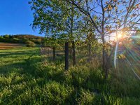 Eladó telek, Esztergomban 9.9 M Ft / költözzbe.hu