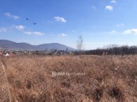 Eladó családi ház, Erdőbényén 15.9 M Ft, 3 szobás