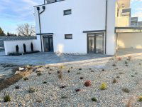 Kiadó üzlethelyiség, Szombathelyen, Síp utcában 300 E Ft / hó