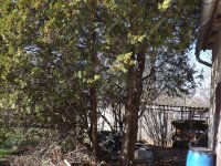 Eladó családi ház, Somlószőlősön 46 M Ft, 4 szobás