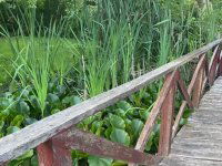 Eladó családi ház, Kecskeméten 46.9 M Ft, 2 szobás