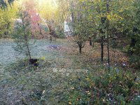 Eladó telek, Solymáron 69.9 M Ft / költözzbe.hu