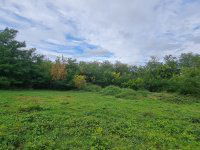 Eladó telek, Mogyoródon, Székely Bertalan utcában 37 M Ft