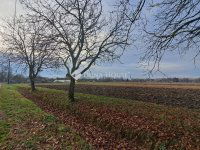 Eladó telek, Kémesen 1.29 M Ft / költözzbe.hu