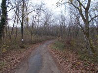 Eladó mezogazdasagi ingatlan