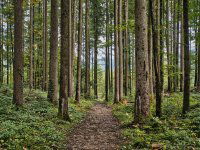 Eladó mezogazdasagi ingatlan