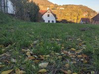 Eladó telek, Szigligeten 60 M Ft / költözzbe.hu