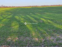 Eladó telek, Gárdonyban 12 M Ft / költözzbe.hu