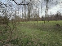 Eladó mezogazdasagi ingatlan, Jásdon 5.3 M Ft