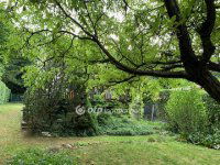 Eladó telek, Solymáron 69.9 M Ft / költözzbe.hu