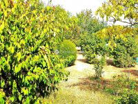 Eladó telek, Érden 49 M Ft / költözzbe.hu