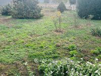 Eladó családi ház, Versenden 16.9 M Ft, 4 szobás