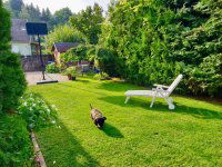 Eladó családi ház, Pilisjászfalun 117.9 M Ft, 4 szobás